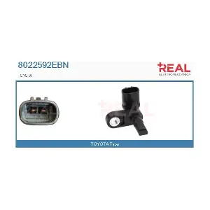 8022592EBN REAL