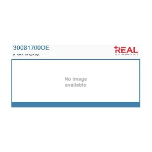 REAL 30081700OE