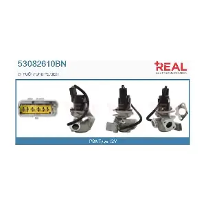 REAL 53082610BN