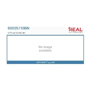 REAL 60055710BN