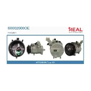 60002000OE REAL