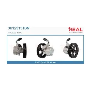 REAL 36123151BN