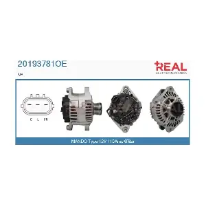 20193781OE REAL