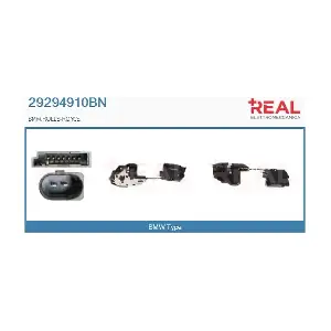 29294910BN REAL