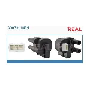 30073110BN REAL