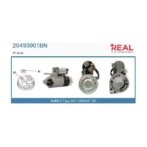 20493901BN REAL