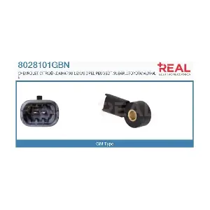8028101GBN REAL
