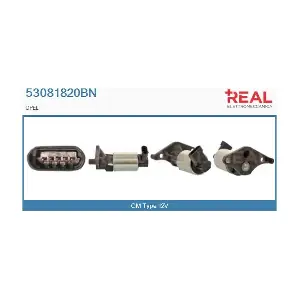53081820BN REAL