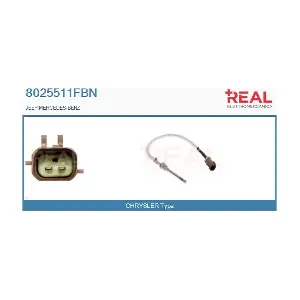 8025511FBN REAL