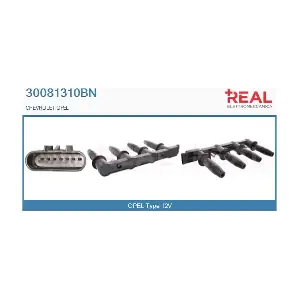 REAL 30081310BN