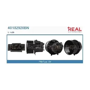 40182920BN REAL