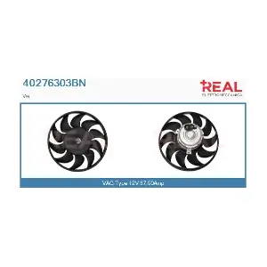 REAL 40276303BN