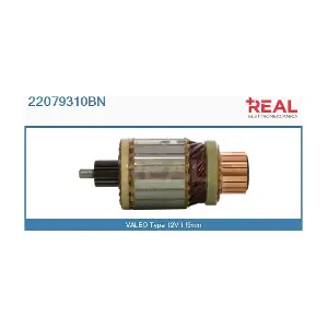 22079310BN REAL