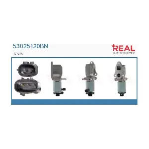 53025120BN REAL