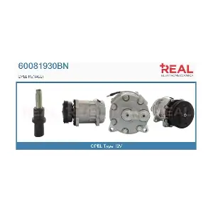 REAL 60081930BN