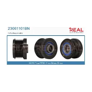 23061101BN REAL