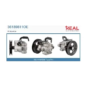 36189811OE REAL