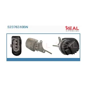 REAL 52376310BN