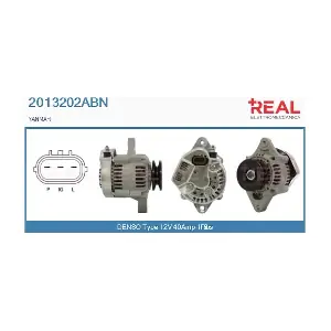 REAL 2013202ABN