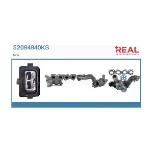52094940KS REAL