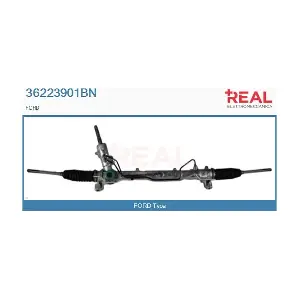 REAL 36223901BN
