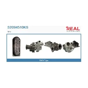 52094510KS REAL