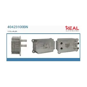 REAL 40423100BN