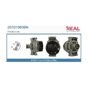 REAL 20101663BN