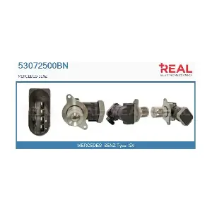 53072500BN REAL
