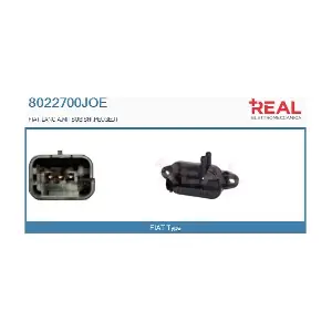 8022700JOE REAL