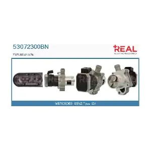 53072300BN REAL