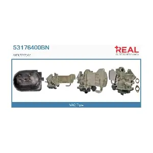 REAL 53176400BN