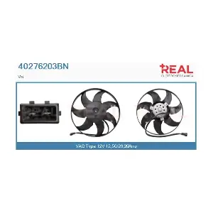 REAL 40276203BN