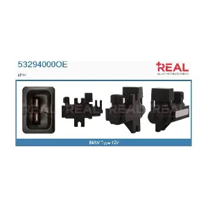 53294000OE REAL