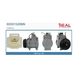 60081520BN REAL
