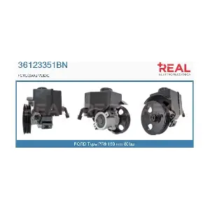 REAL 36123351BN