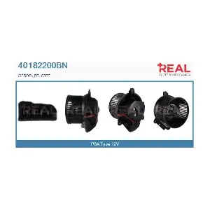 40182200BN REAL