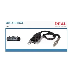 8028101BOE REAL