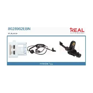 8028962EBN REAL