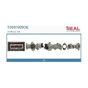 53081920OE REAL