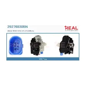 29276930BN REAL