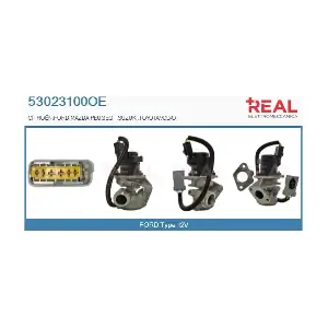53023100OE REAL