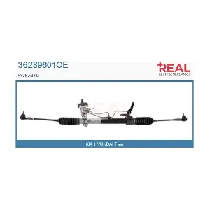 36289601OE REAL