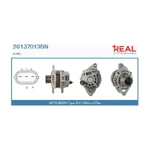 REAL 20137013BN