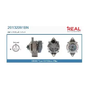 REAL 20132091BN