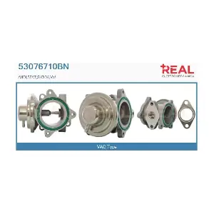 REAL 53076710BN