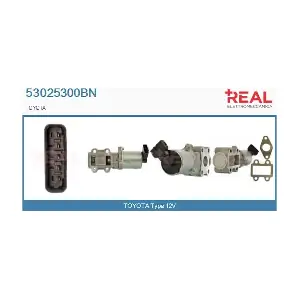 53025300BN REAL