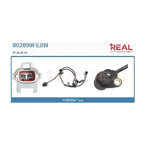 802899FEBN REAL