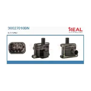 REAL 30027010BN
