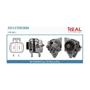 REAL 20137003BN